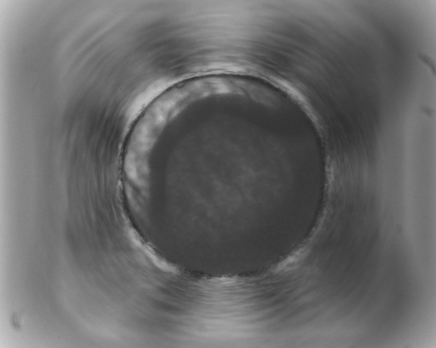 X0000102311373200808152031