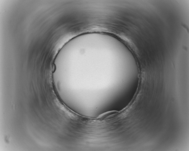 X0000102311374200808152031