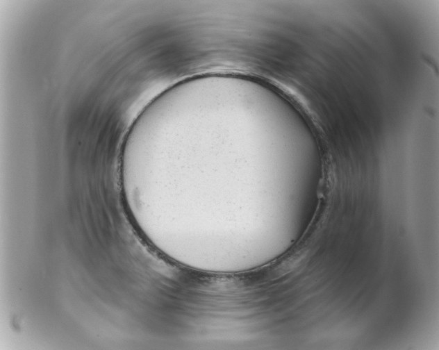 X0000102311375200808152031