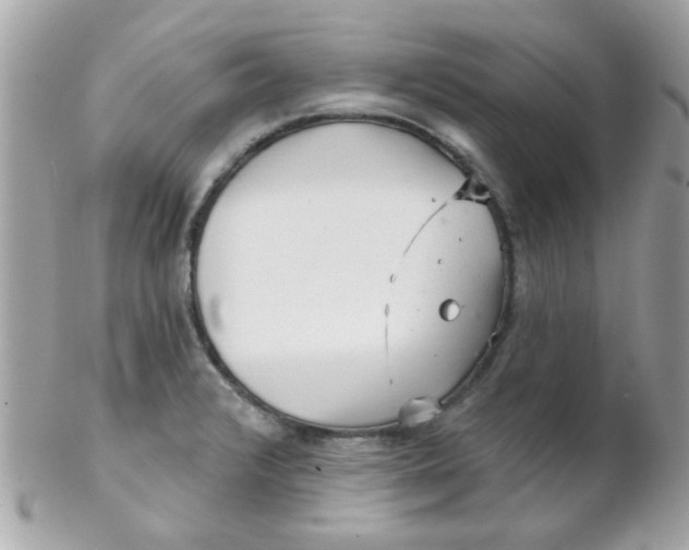 X0000102311376200808152031