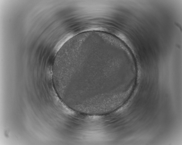 X0000102311377200808152031