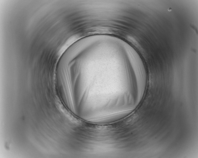 X0000102311378200808152031