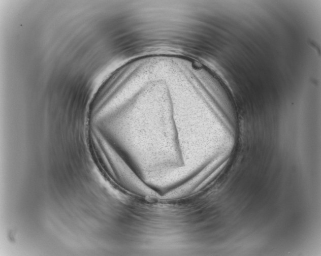X0000102311379200808152031