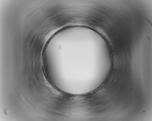 X0000102311380200808152031