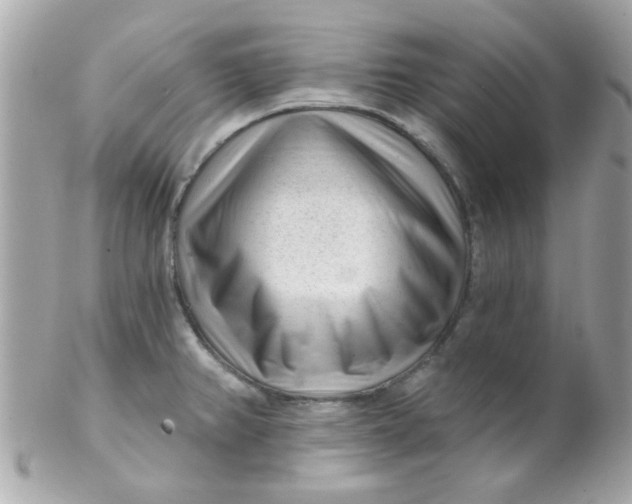 X0000102311382200808152031
