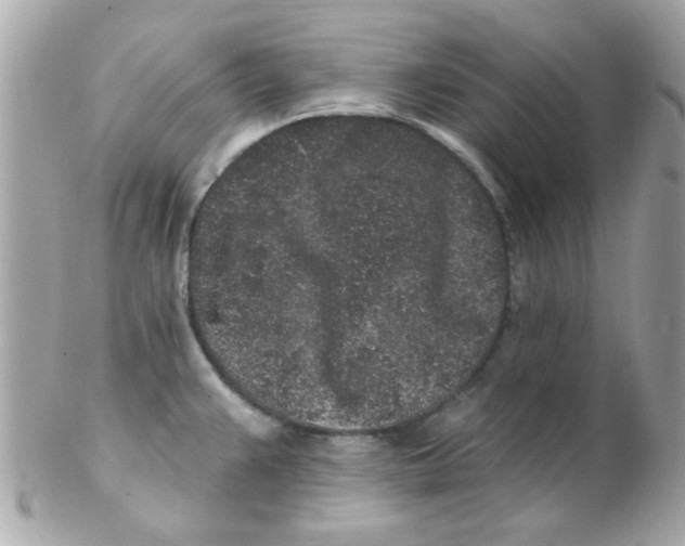 X0000102311383200808152031