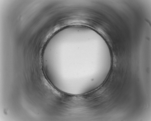X0000102311384200808152031