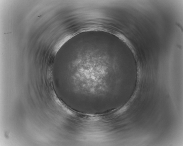 X0000102311385200808152031