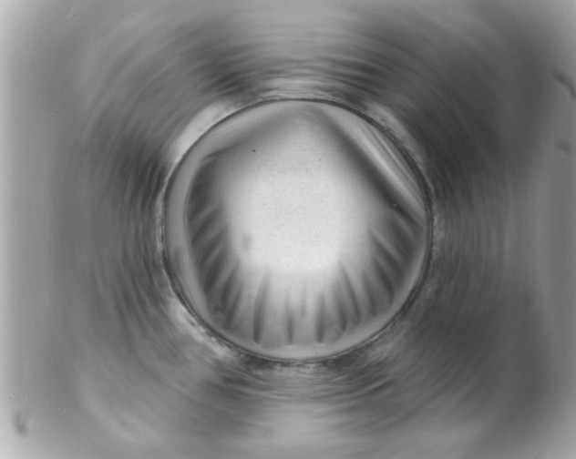 X0000102311386200808152031