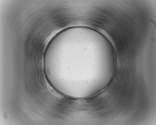 X0000102311388200808152031