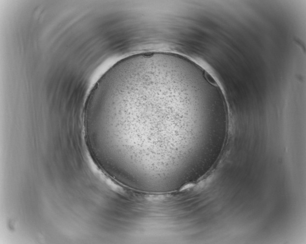 X0000102311389200808152031