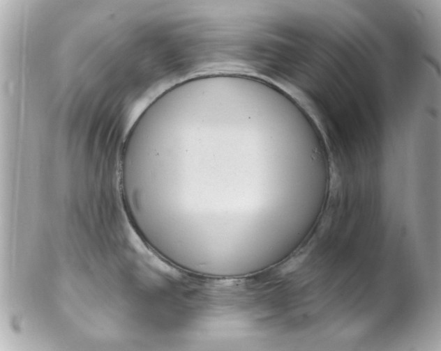 X0000102311390200808152031