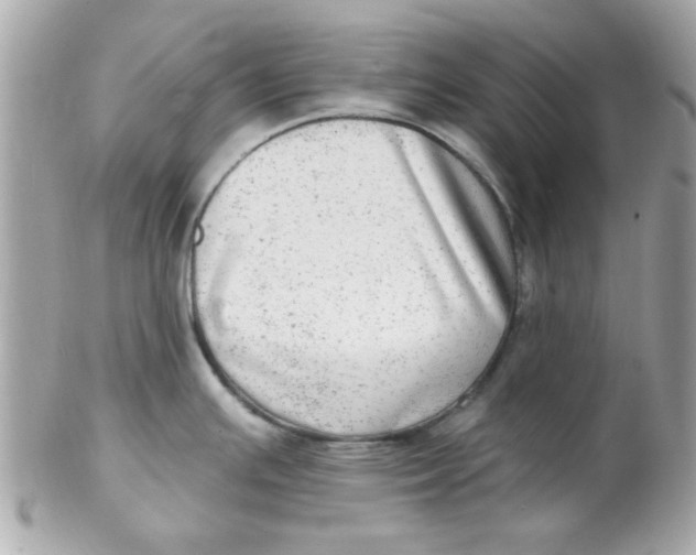 X0000102311391200808152031