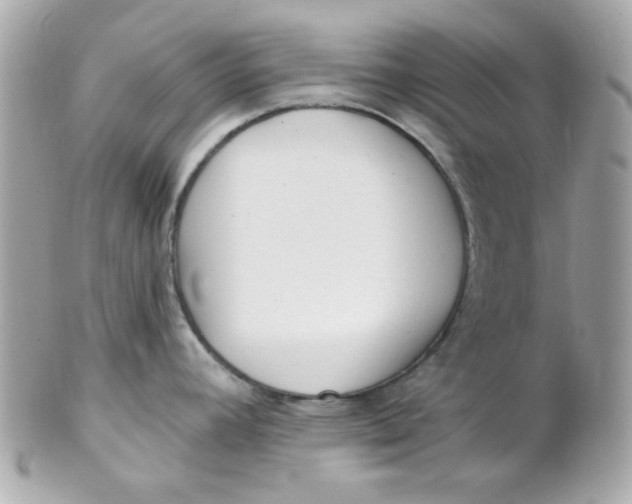 X0000102311392200808152031