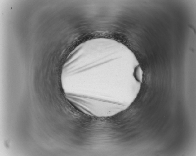 X0000102311393200808152030