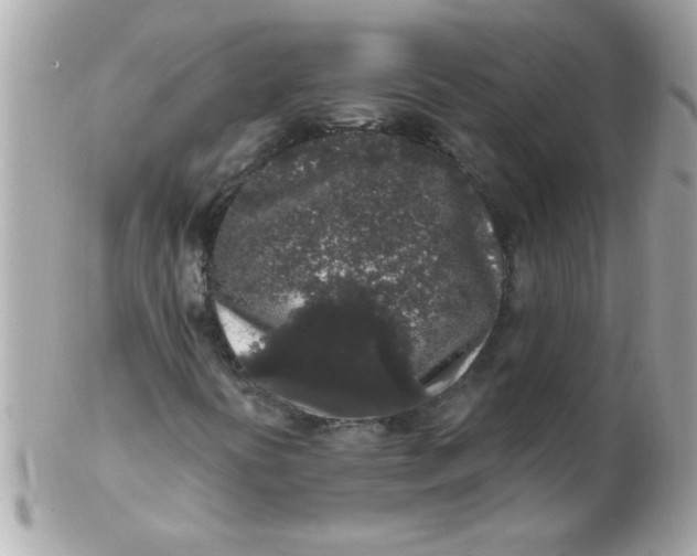 X0000102311394200808152030