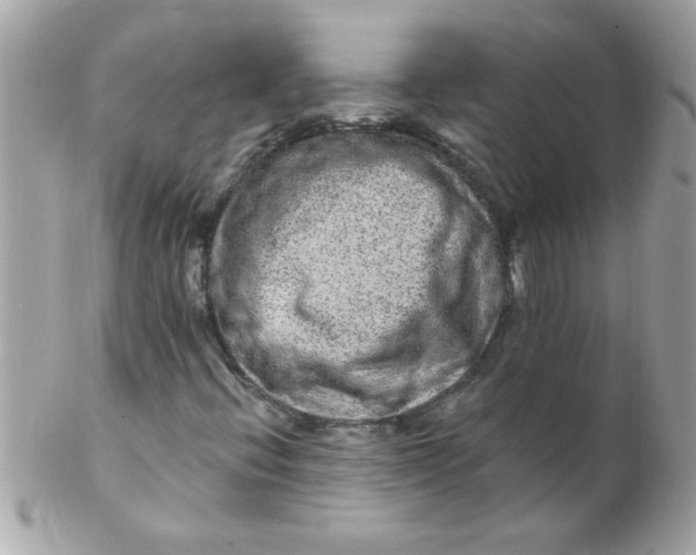 X0000102311396200808152030