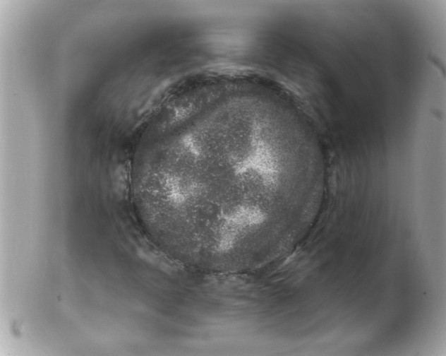 X0000102311397200808152030