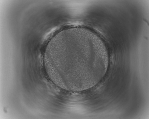 X0000102311398200808152030