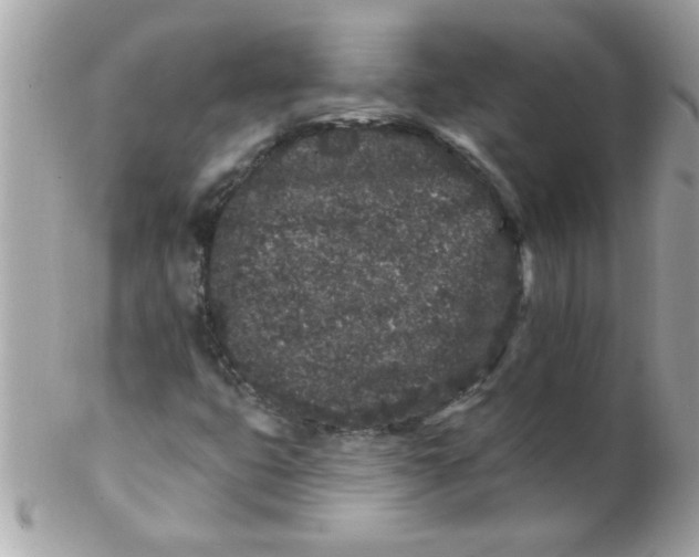 X0000102311399200808152030