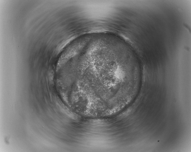 X0000102311401200808152030