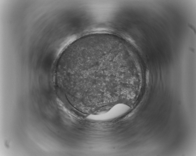 X0000102311405200808152030