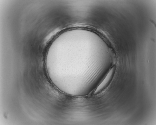 X0000102311406200808152030