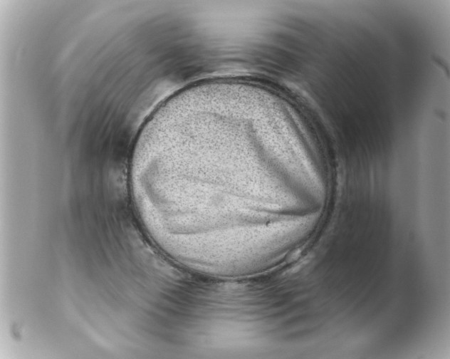 X0000102311409200808152030