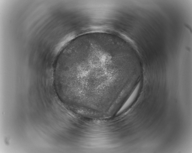 X0000102311411200808152030