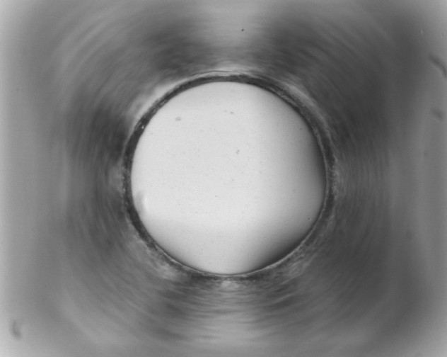 X0000102311412200808152030