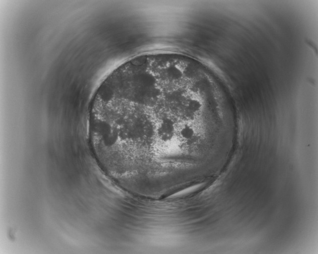X0000102311413200808152030