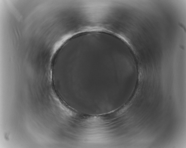 X0000102311414200808152030