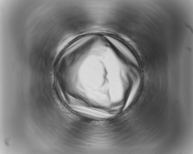 X0000102311415200808152030