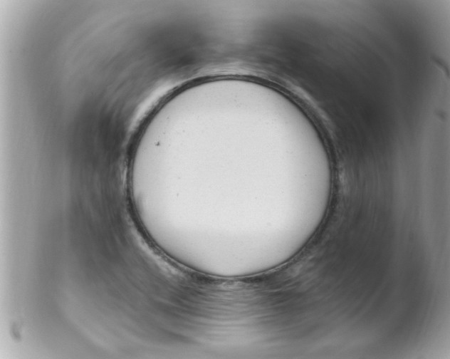 X0000102311416200808152030