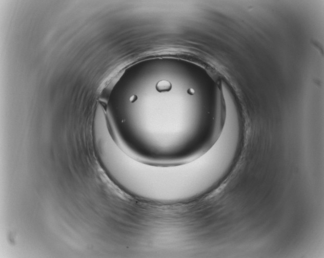 X0000102311417200808152030