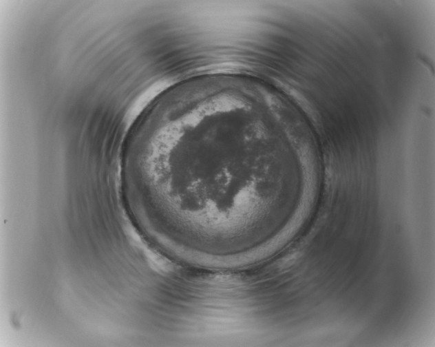 X0000102311418200808152030