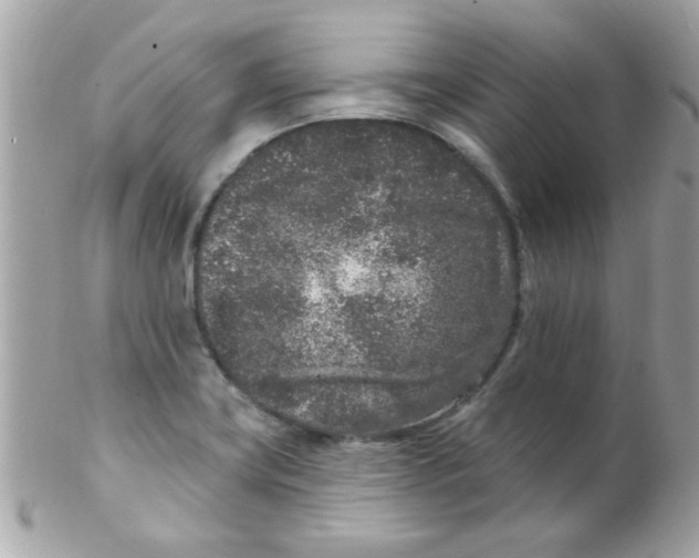 X0000102311419200808152030