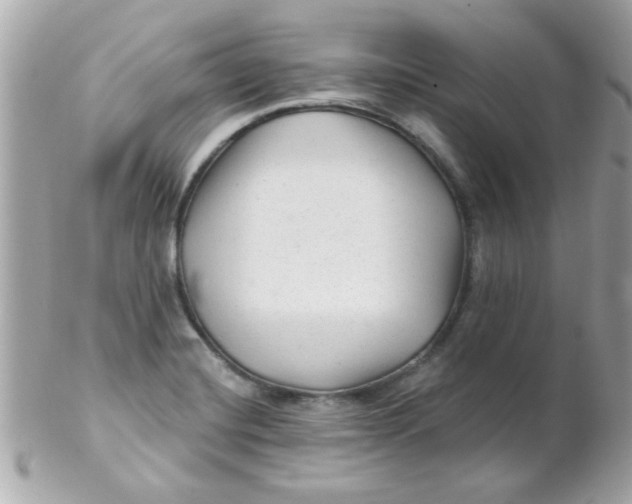 X0000102311420200808152030