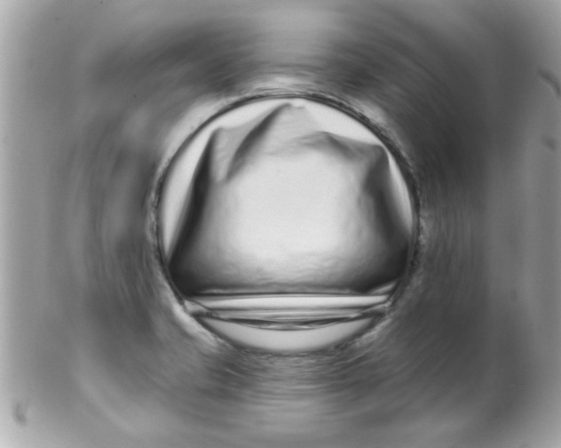 X0000102311421200808152030