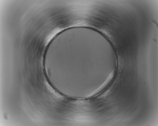 X0000102311422200808152030