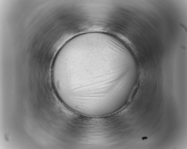 X0000102311423200808152030