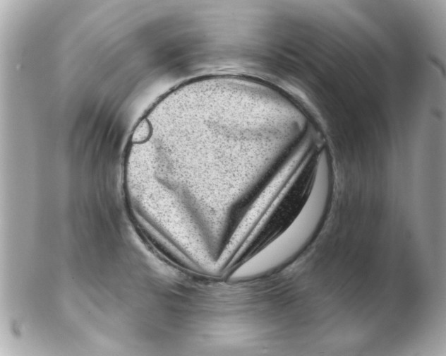 X0000102311424200808152030