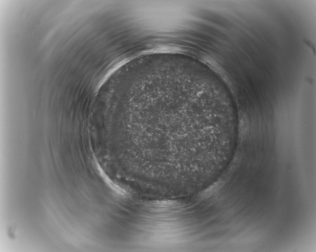 X0000102311425200808152030