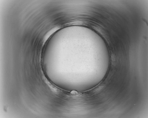X0000102311426200808152030