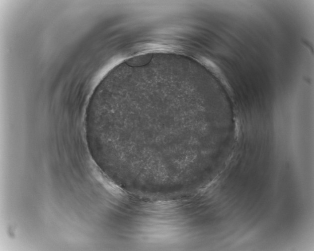 X0000102311427200808152030