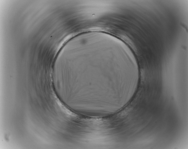 X0000102311428200808152030