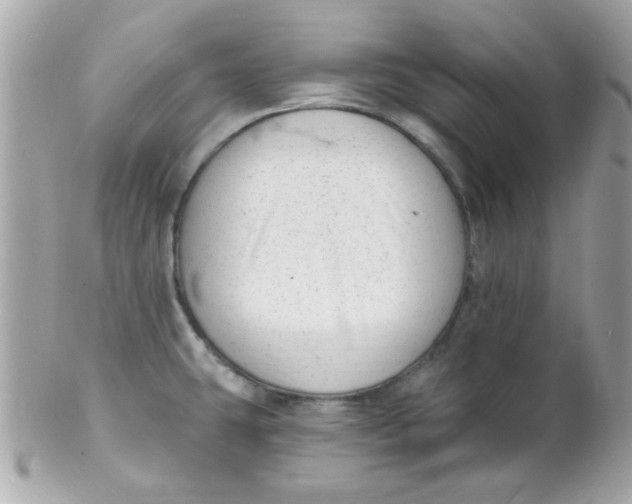 X0000102311431200808152031