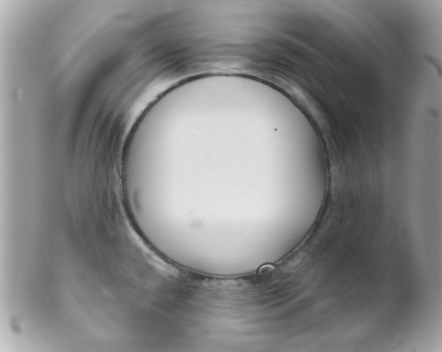 X0000102311432200808152031