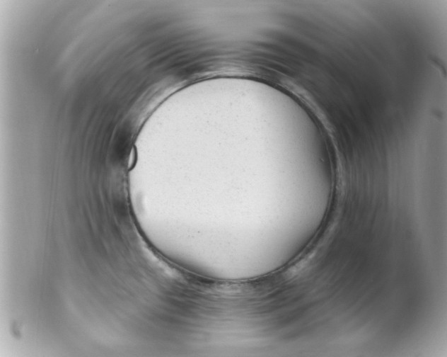 X0000102311433200808152031