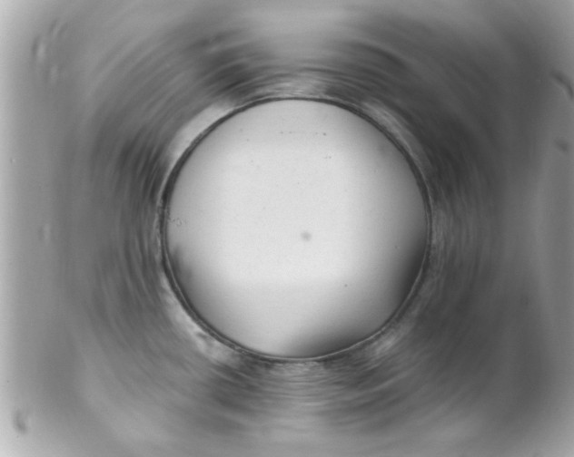 X0000102311434200808152031